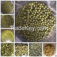 https://cn.tradekey.com/product_view/2014-New-Crop-Green-Mung-Beans-7308006.html
