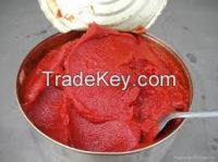 Tomato Paste Halal canned Tomato Paste