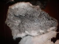 Rabbit Fur Skins