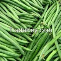 Fresh green beans