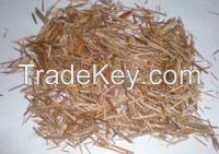 Sawdust