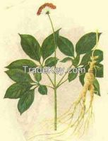 Ginseng Extract