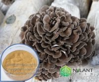 Fungi Mushroom extract Polysaccharides