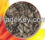 Stripped Sunflower Seeds