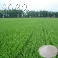 Super Absorbent Polymer for Agriculture