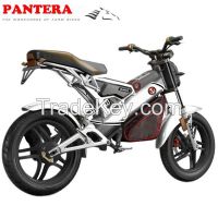 Chinese Powerful Best Selling Electric Motorcycle