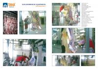 Slaughterhouse Equipments