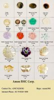 Shell Buttons