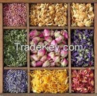 ayurvedic herbs 