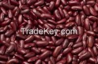 Canned Red Beans In Tomato Sauce With Best Price