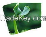 Substrates