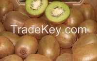 fresh kiwi fruit