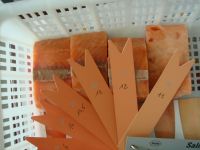 Quality Frozen Salmon Fish From Austria