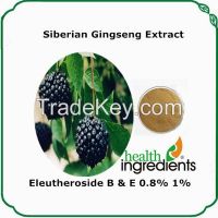 100% natural and high quality health care 0.8% siberian gingseng extract eleutherosideSB+E powder