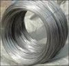 Cold Drawn Steel Wire