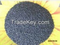 Anthracite Filter Media From China