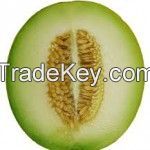 Melon