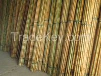 BAMBOO POLES