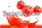 TOMATO PASTE