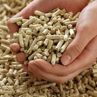 Biomass Energy Wood Pellet for Sale  In Stock
