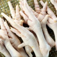 BEST QUALITY FROZEN CHICKEN FEET  AVAILABLE