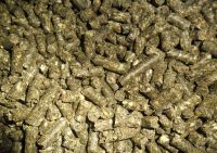 Sunflower Seed Meal/ Fish Meal/ Bone Meal/ Soybean Meal/ Corn Gluten Meal All Available 