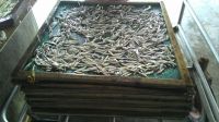 Frozen & Dried Anchovy At The