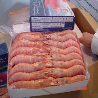 Fresh & Frozen Crystal Red Shrimp/ Frozen Black Tiger Shrimp at PERFECT QUALITY