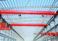 LD  Model Single Beam Motor Crane From China