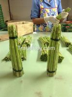 A Fresh Asparagus