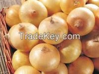 https://cn.tradekey.com/product_view/Yellow-Onions-7453471.html
