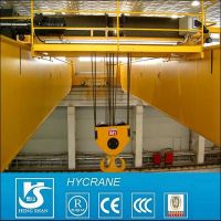 Euro style Warranty 2 years HY Crane 20t Lh euro crane