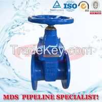 DIN3352 Cast Iron Rising Stem Gate Valve