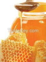 Natural Honey bee