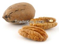 PECAN (peeled walnut, pecan, nuts)