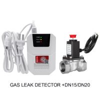 Household Gas Detector Solenoid Valve Shut