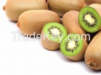 Kiwifruit 