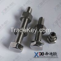 904L China hardware stainless steel hex bolt with nut