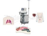 Hyperthermia perfusion extracorporeal system