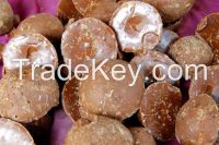 Palmyra Jaggery From India