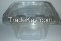 Plastic Clear Rectangular Container 8Oz