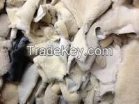 sheep skin