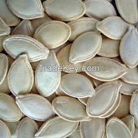 Pumpkin Seeds