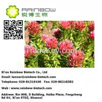  Rhodiola rosea extract