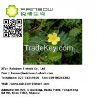 Tribulus Terrestris Extract Powder