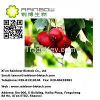 Hawthorn berry Extract