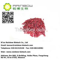 Chinese Magnolivine Fruit Extract Powder