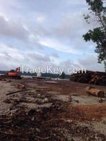 solomon islands round logs