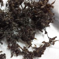 Dried Sargassum Seaweed/Seaweed Powder/ Ms.Thi Nguyen +84 988 872 713