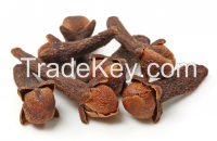 Clove Bud Essential Oil 